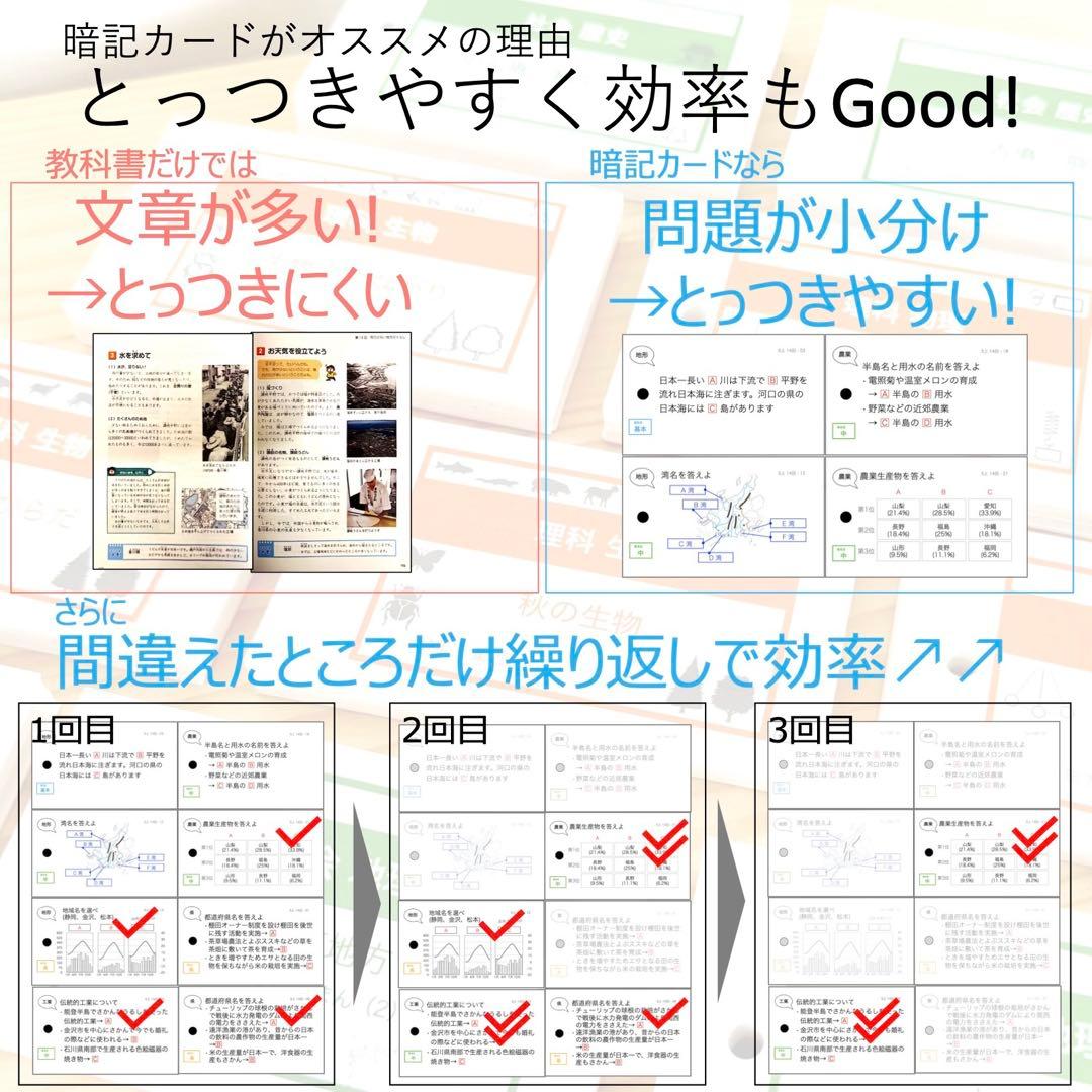 中学受験 暗記カード【4年生向け 理科上下 生物全セット】植物,動物